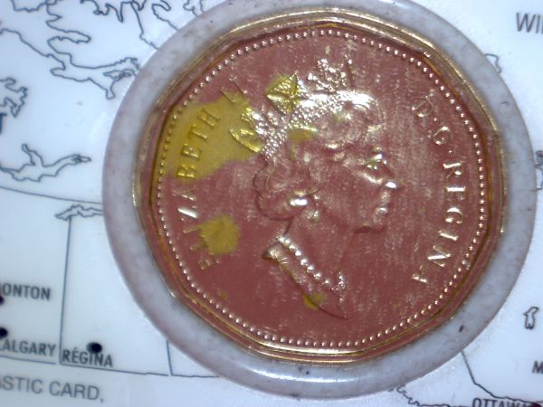 Ugly-PVC-Damage-On-Loonie-In-RCM-Card