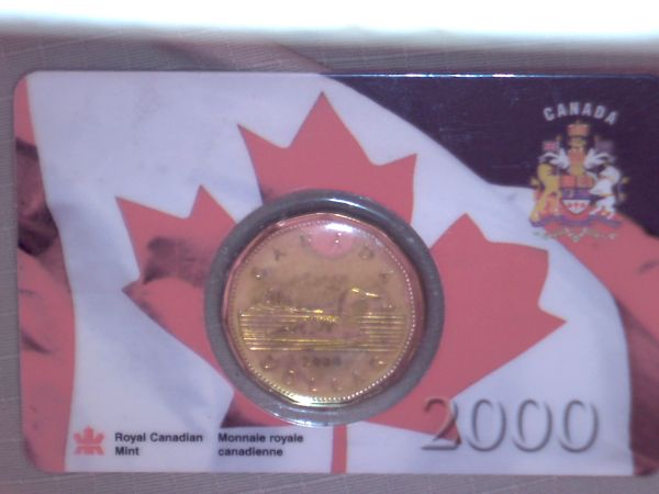 Ugly-PVC-Damage-On-Loonie-In-RCM-Card