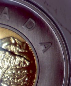 1996-Specimen-Toonie-Wide-Ring-And-Narrow-Ring-Question