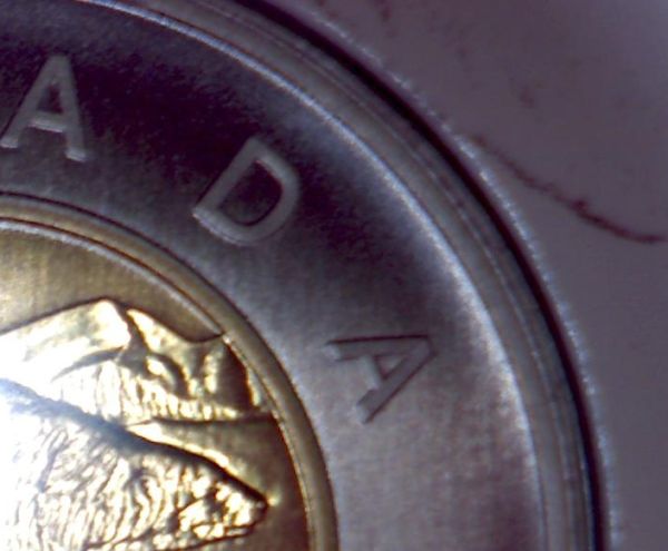 1996-Specimen-Toonie-Wide-Ring-And-Narrow-Ring-Question