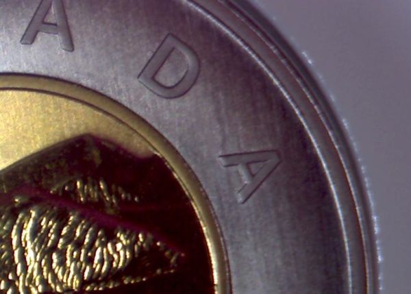 1996-Specimen-Toonie-Wide-Ring-And-Narrow-Ring-Question