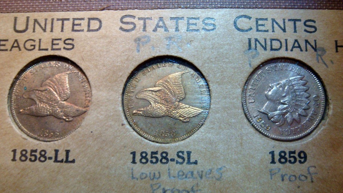 Flying-Eagle-/-Indian-Head-Collection-In-Old-Album-Pages