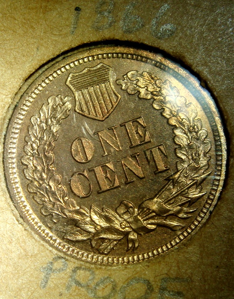 Flying-Eagle-/-Indian-Head-Collection-In-Old-Album-Pages
