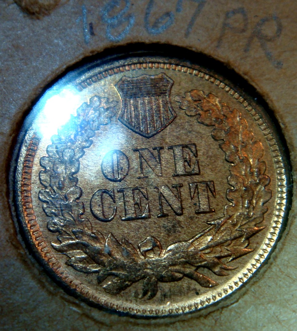 Flying-Eagle-/-Indian-Head-Collection-In-Old-Album-Pages