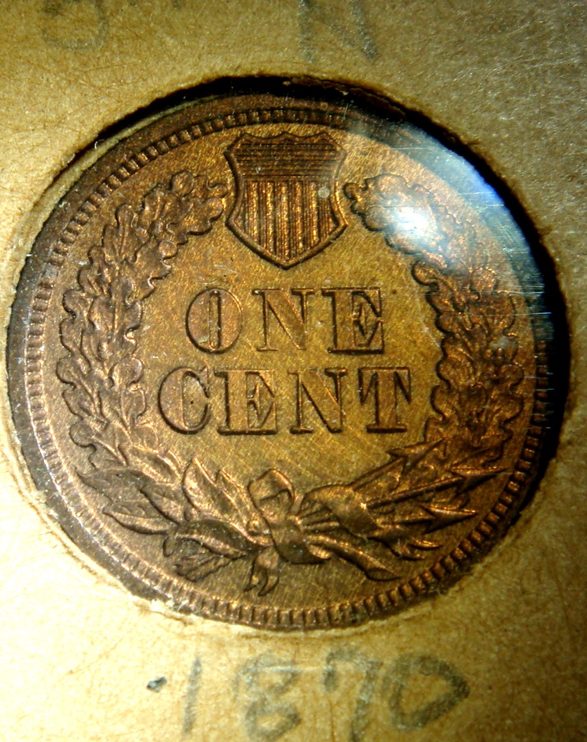Flying-Eagle-/-Indian-Head-Collection-In-Old-Album-Pages