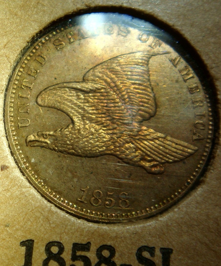 Flying-Eagle-/-Indian-Head-Collection-In-Old-Album-Pages