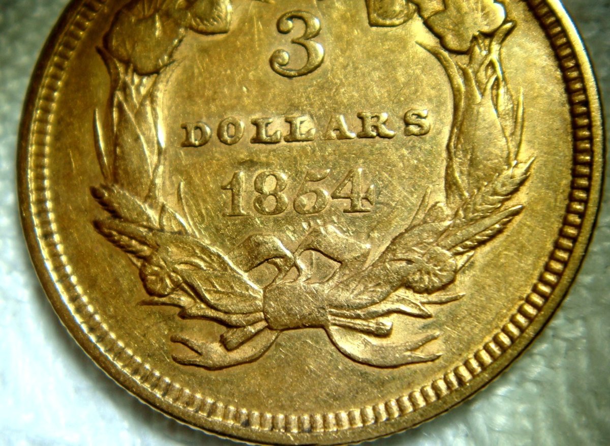 1854-Three-Dollar-Gold-Indian-Princess-Head-For-Grade-Opinions