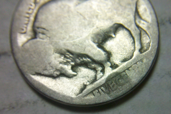 Collecting-Coins-On-The-Cheap:-The-Buffalo-Nickel-Challenge