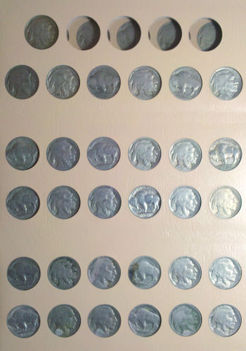 Collecting-Coins-On-The-Cheap:-The-Buffalo-Nickel-Challenge