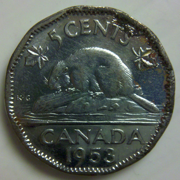 Animals-On-Circulating-Coins