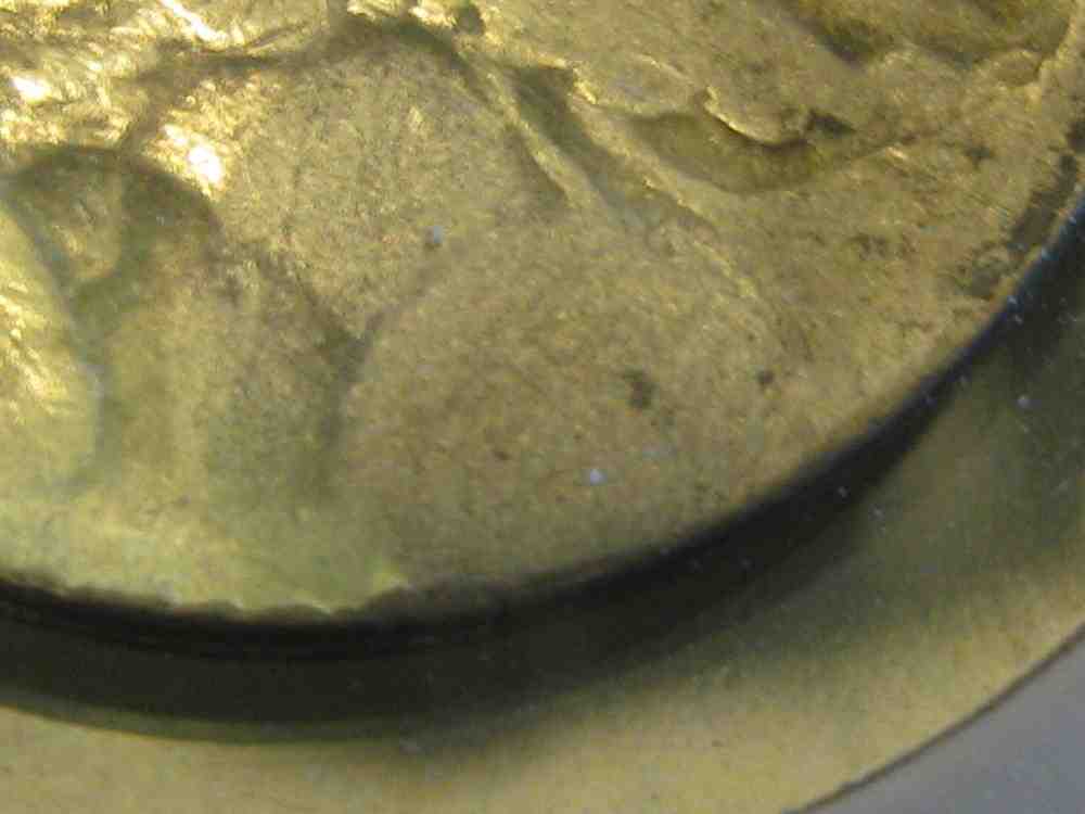Fixing-Restored-Date-Buffaloes