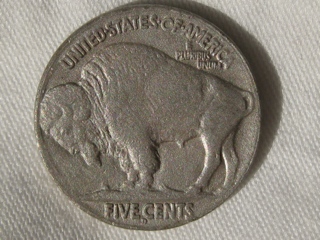Fixing-Restored-Date-Buffaloes