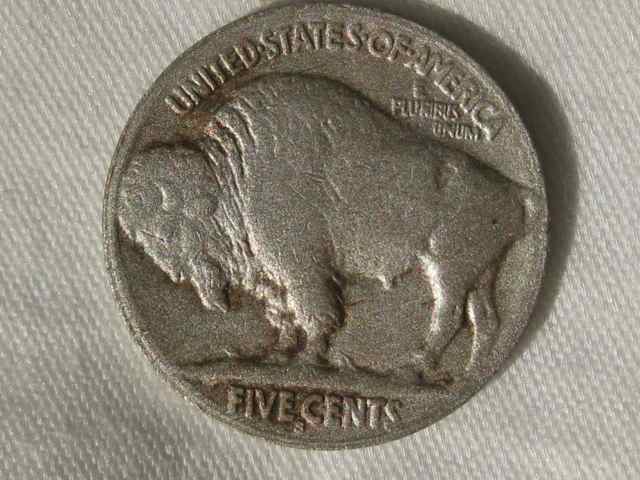 Fixing-Restored-Date-Buffaloes