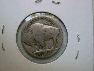 Fixing-Restored-Date-Buffaloes
