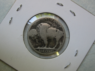 Fixing-Restored-Date-Buffaloes