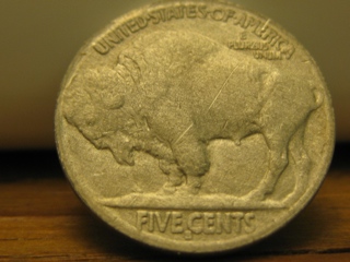 Fixing-Restored-Date-Buffaloes