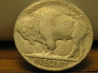 Fixing-Restored-Date-Buffaloes