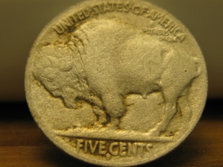 Fixing-Restored-Date-Buffaloes