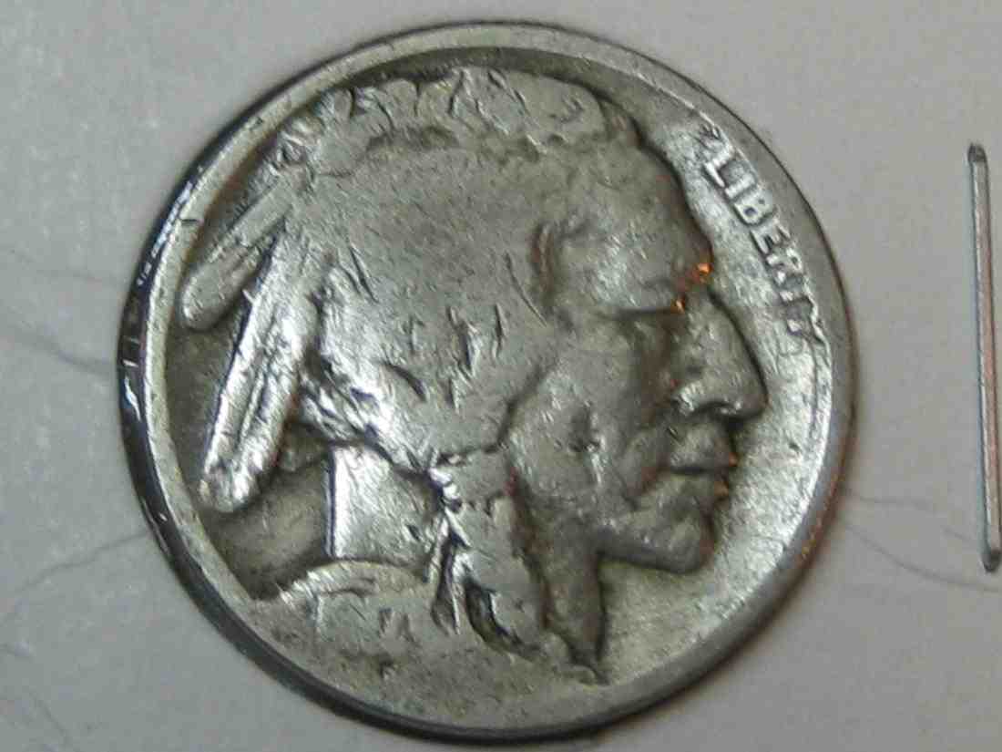 Auctioning-Some-Fine-Buffalo's-A-Great-Set-At-A-Great-Price!