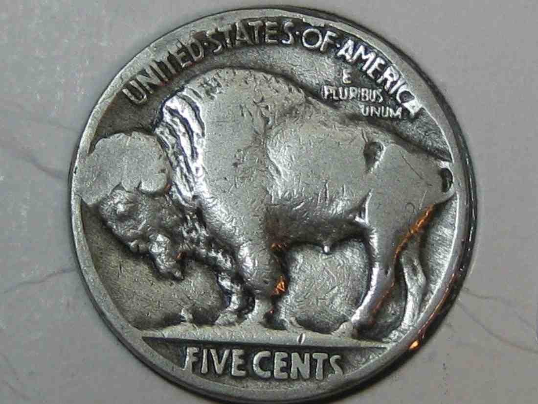 Auctioning-Some-Fine-Buffalo's-A-Great-Set-At-A-Great-Price!