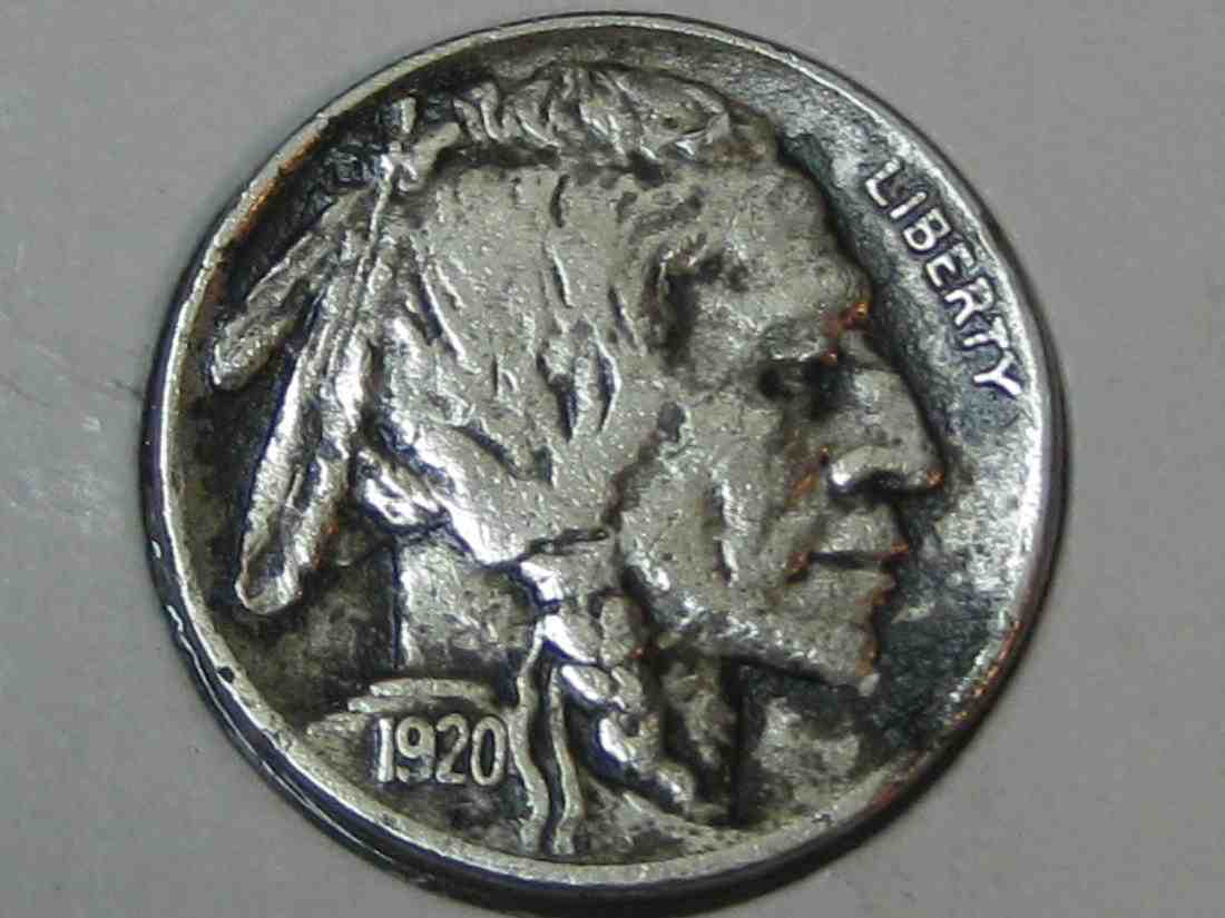 Auctioning-Some-Fine-Buffalo's-A-Great-Set-At-A-Great-Price!