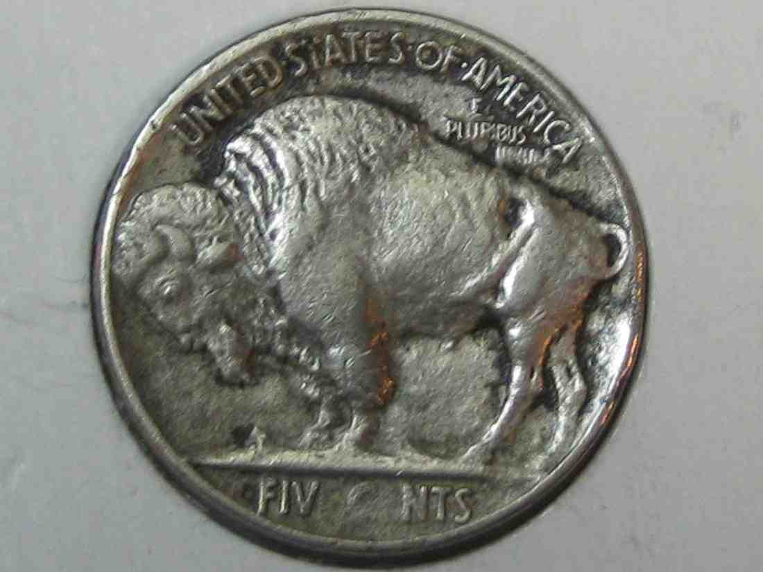 Auctioning-Some-Fine-Buffalo's-A-Great-Set-At-A-Great-Price!