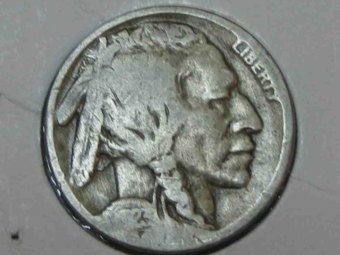 Auctioning-Some-Fine-Buffalo's-A-Great-Set-At-A-Great-Price!