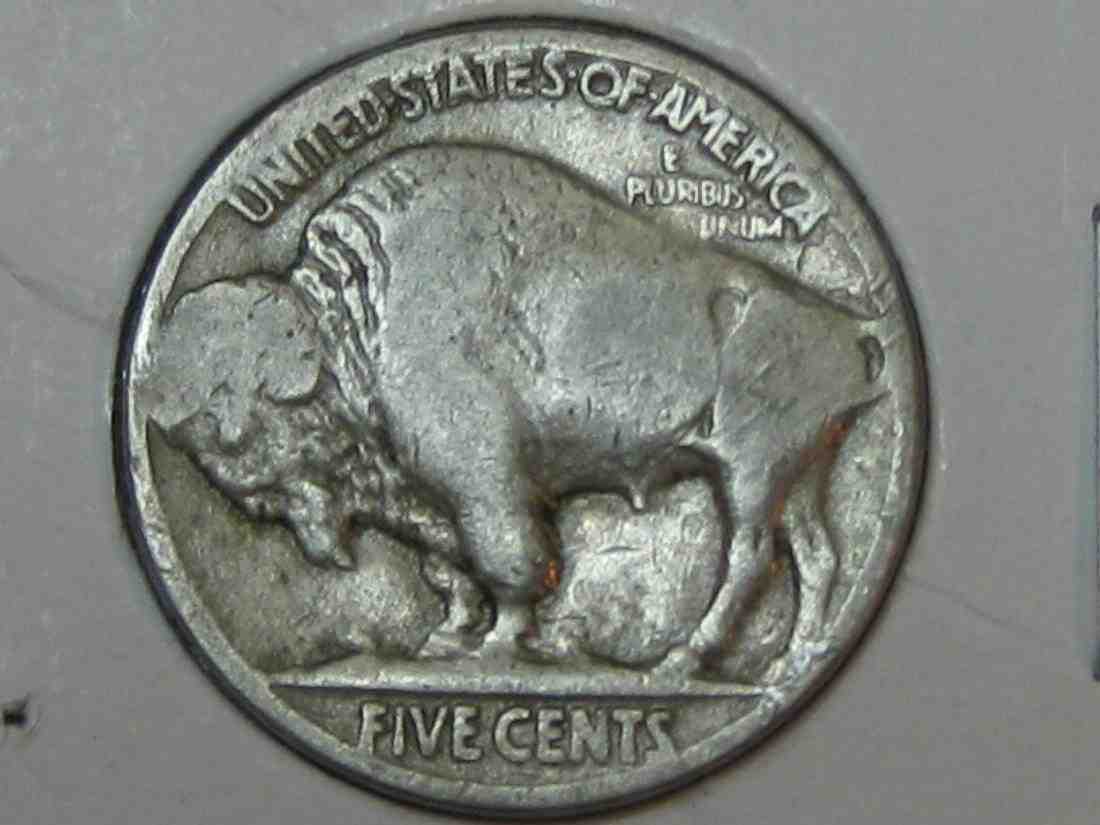 Auctioning-Some-Fine-Buffalo's-A-Great-Set-At-A-Great-Price!