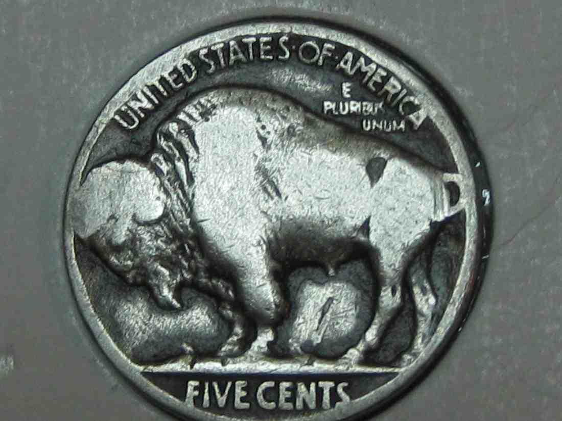 Auctioning-Some-Fine-Buffalo's-A-Great-Set-At-A-Great-Price!