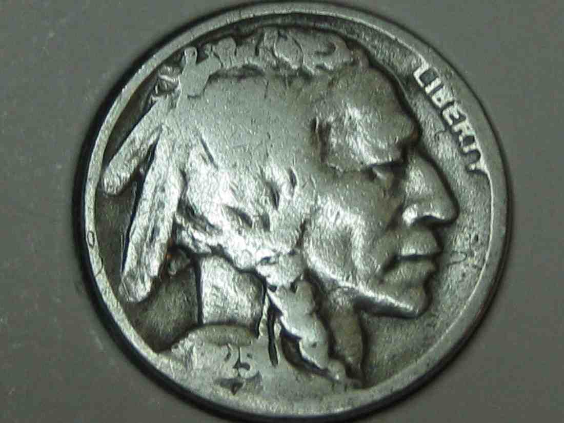 Auctioning-Some-Fine-Buffalo's-A-Great-Set-At-A-Great-Price!
