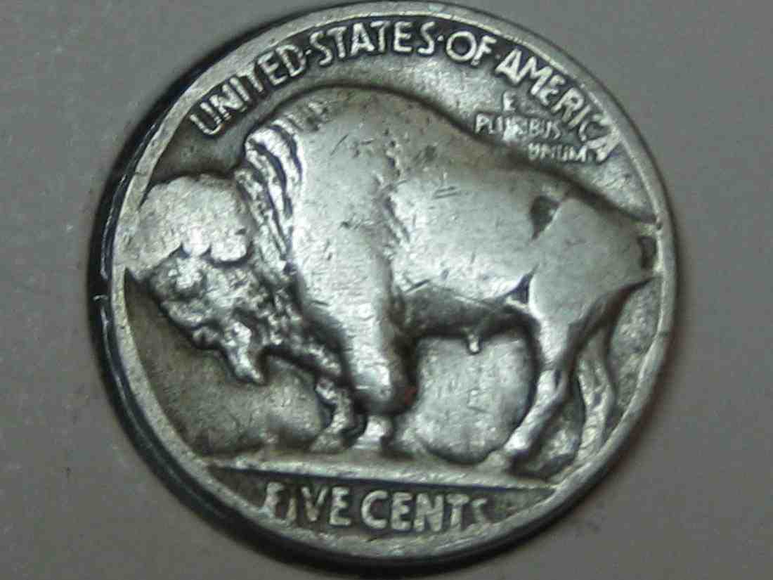 Auctioning-Some-Fine-Buffalo's-A-Great-Set-At-A-Great-Price!