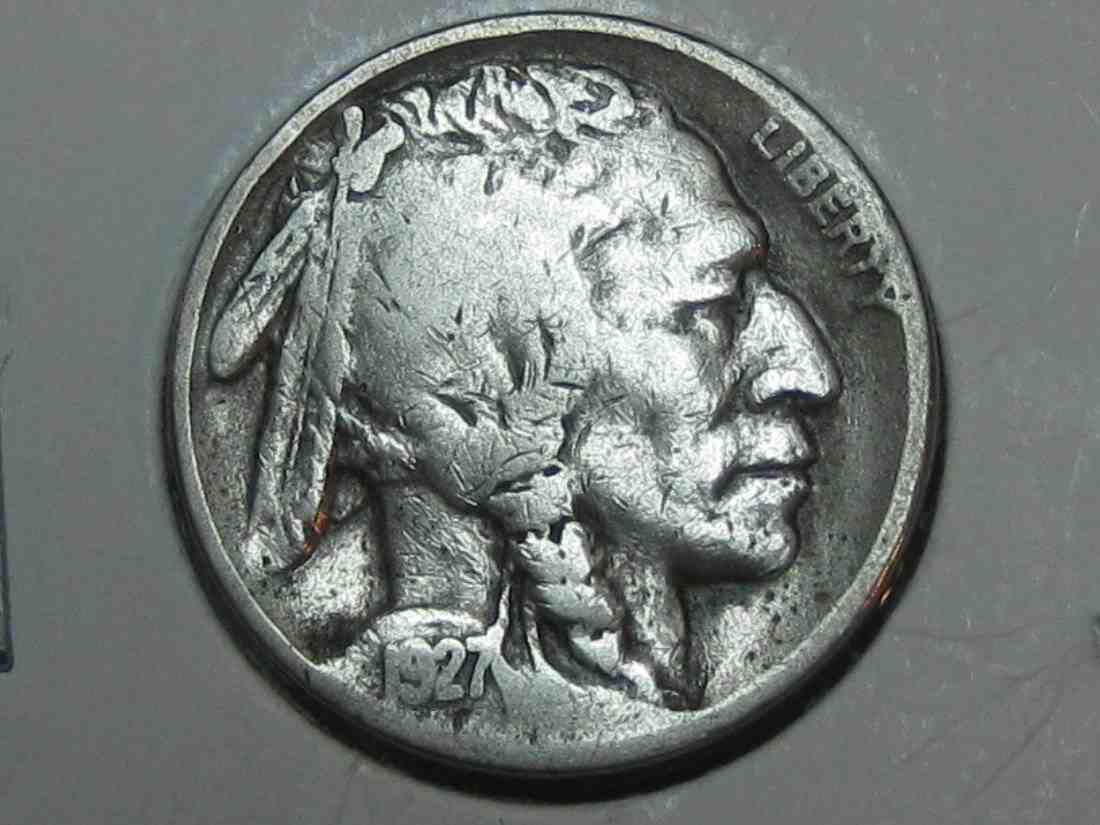 Auctioning-Some-Fine-Buffalo's-A-Great-Set-At-A-Great-Price!