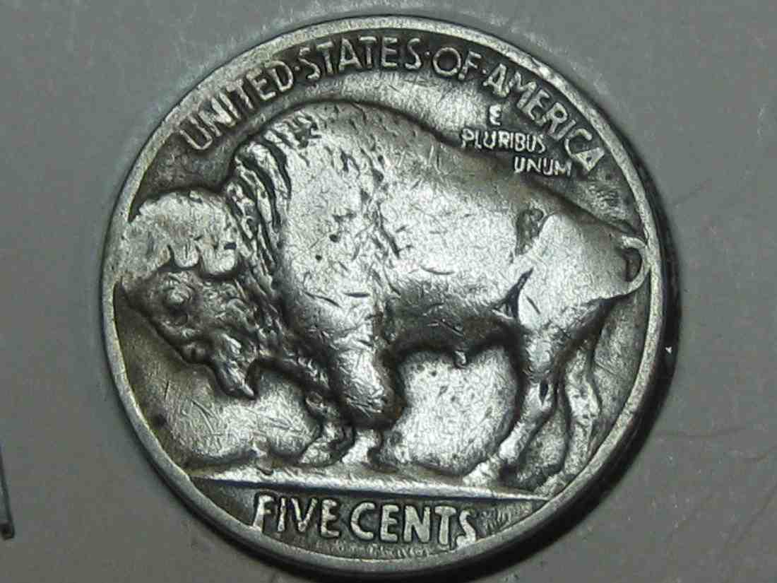Auctioning-Some-Fine-Buffalo's-A-Great-Set-At-A-Great-Price!