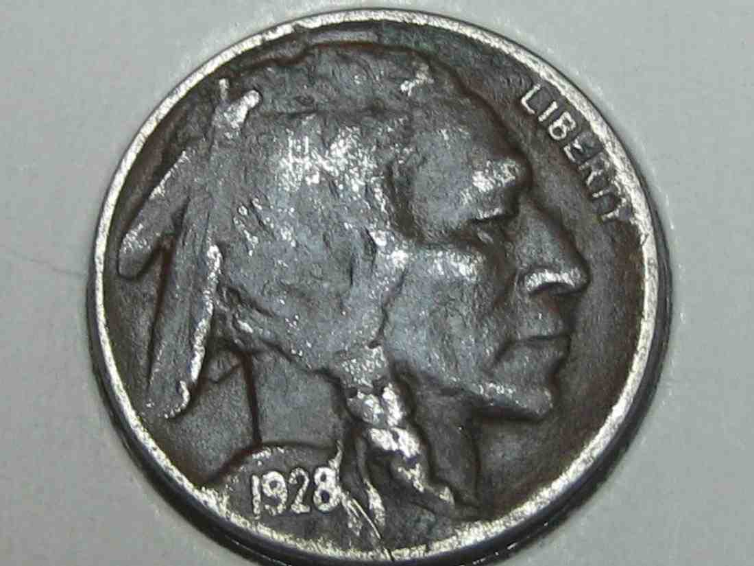 Auctioning-Some-Fine-Buffalo's-A-Great-Set-At-A-Great-Price!