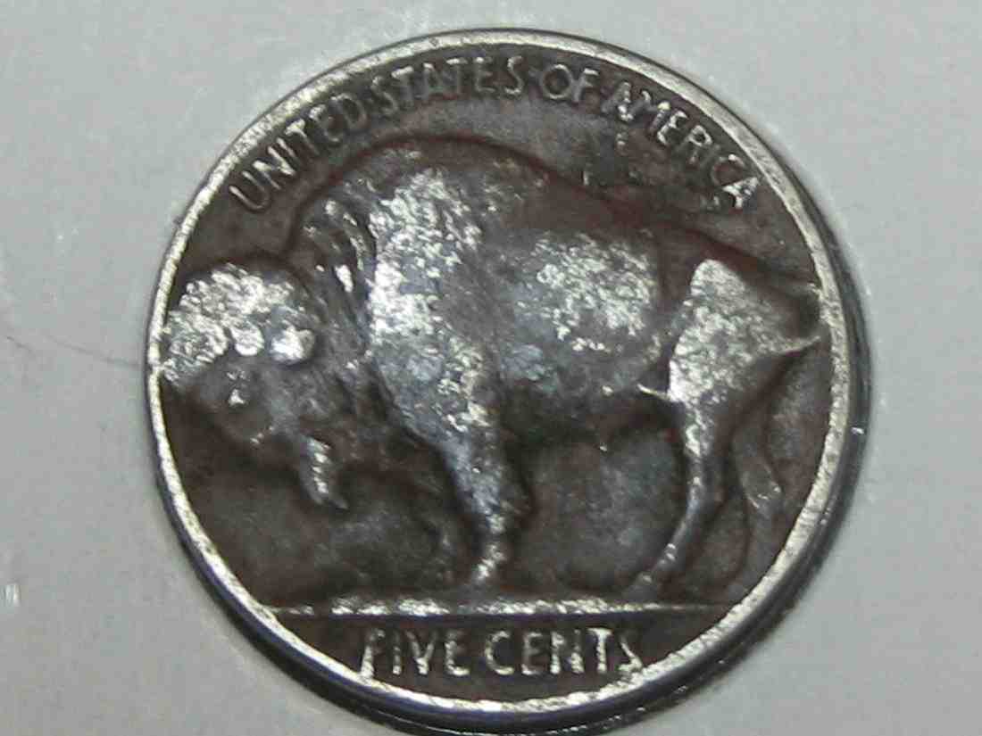Auctioning-Some-Fine-Buffalo's-A-Great-Set-At-A-Great-Price!