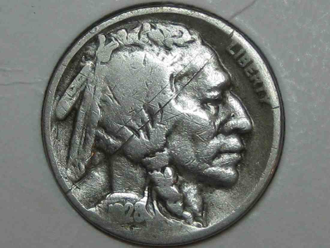 Auctioning-Some-Fine-Buffalo's-A-Great-Set-At-A-Great-Price!