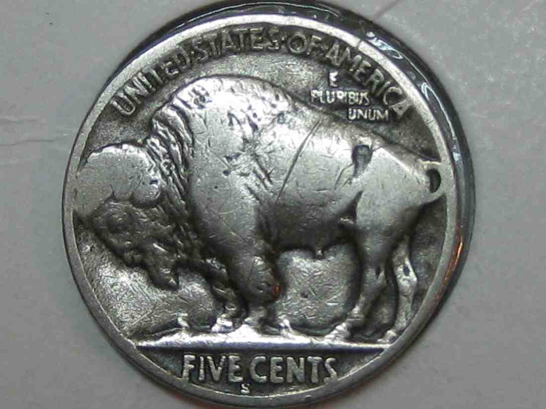 Auctioning-Some-Fine-Buffalo's-A-Great-Set-At-A-Great-Price!