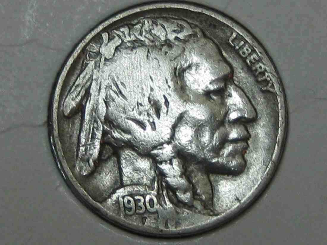 Auctioning-Some-Fine-Buffalo's-A-Great-Set-At-A-Great-Price!