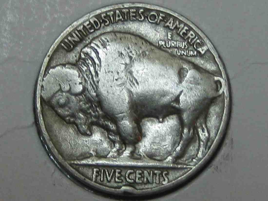 Auctioning-Some-Fine-Buffalo's-A-Great-Set-At-A-Great-Price!