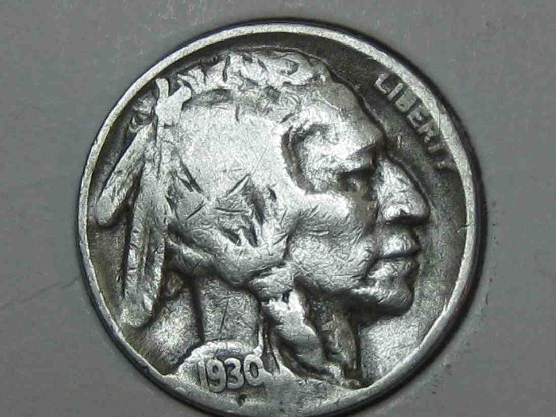 Auctioning-Some-Fine-Buffalo's-A-Great-Set-At-A-Great-Price!