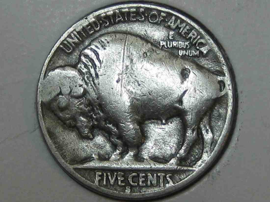 Auctioning-Some-Fine-Buffalo's-A-Great-Set-At-A-Great-Price!
