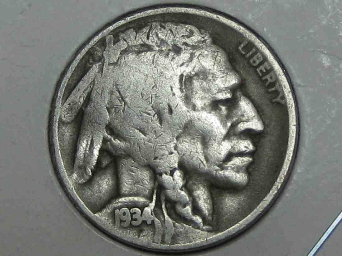 Auctioning-Some-Fine-Buffalo's-A-Great-Set-At-A-Great-Price!
