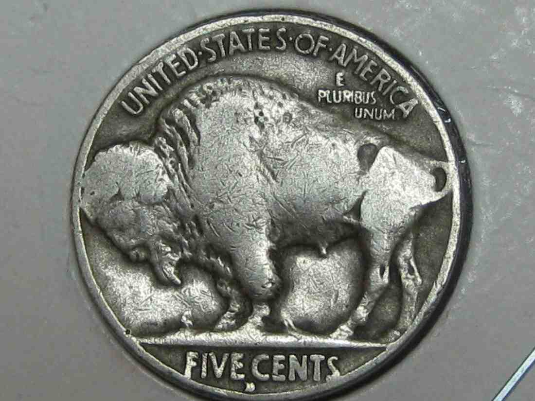 Auctioning-Some-Fine-Buffalo's-A-Great-Set-At-A-Great-Price!