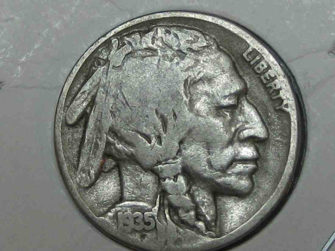 Auctioning-Some-Fine-Buffalo's-A-Great-Set-At-A-Great-Price!