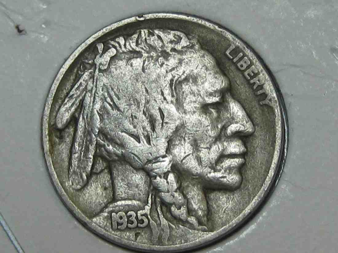 Auctioning-Some-Fine-Buffalo's-A-Great-Set-At-A-Great-Price!
