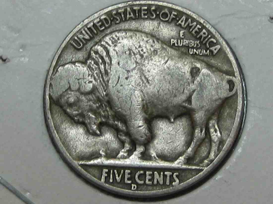 Auctioning-Some-Fine-Buffalo's-A-Great-Set-At-A-Great-Price!
