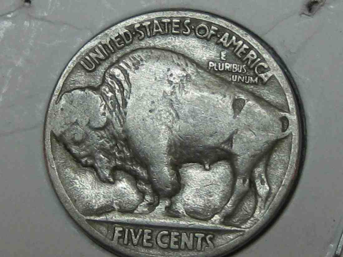 Auctioning-Some-Fine-Buffalo's-A-Great-Set-At-A-Great-Price!