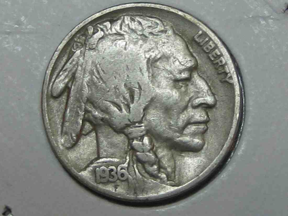 Auctioning-Some-Fine-Buffalo's-A-Great-Set-At-A-Great-Price!
