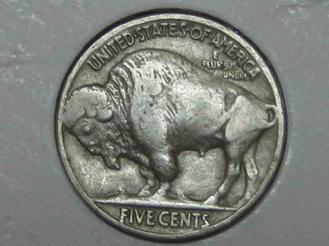 Auctioning-Some-Fine-Buffalo's-A-Great-Set-At-A-Great-Price!