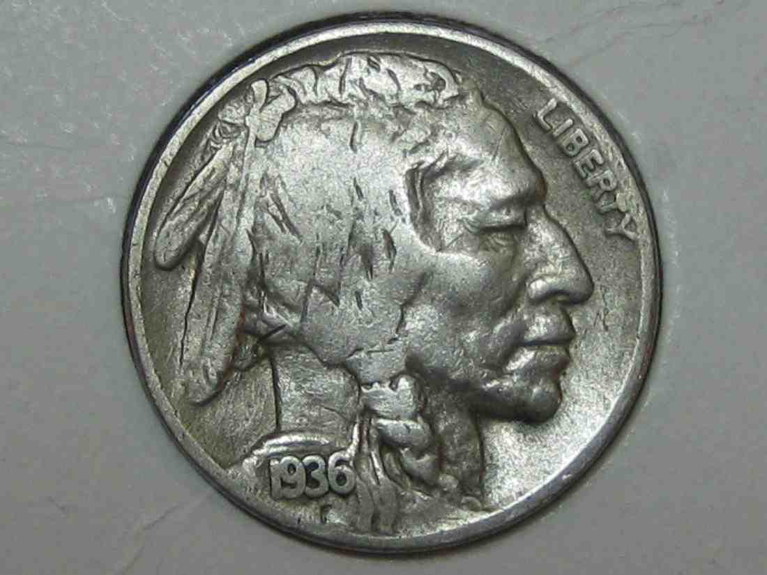 Auctioning-Some-Fine-Buffalo's-A-Great-Set-At-A-Great-Price!